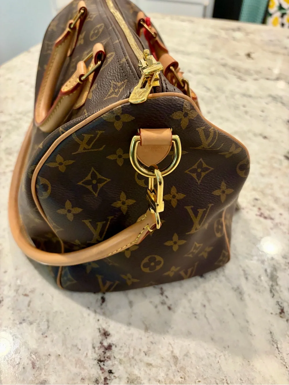 Louis Vuitton iconic louis